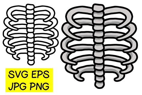 10 Free Printable Rib Cage Templates For Easy Learning