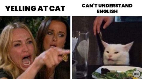 10 Ways To Use Ladies Yelling At Cat Meme