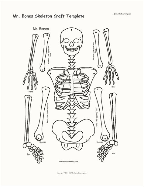 5 Diy Skeleton Bones Templates