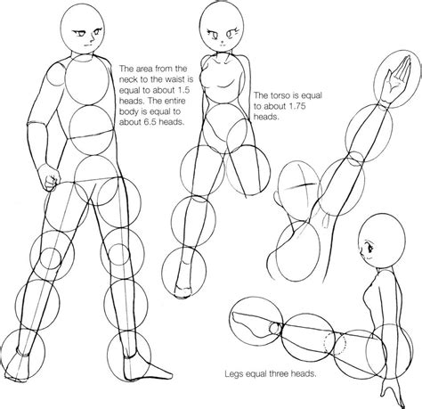 5 Essential Female Anime Body Templates