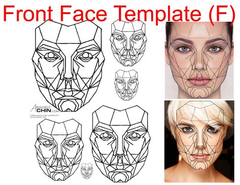 5 Essential Female Face Template Guides