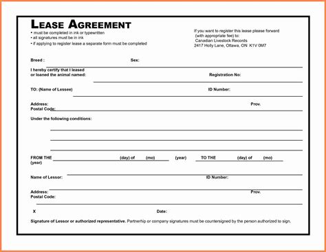 5 Essential Microsoft Office Rental Agreement Templates