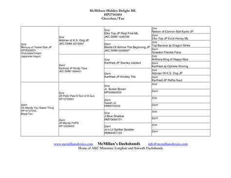 5 Essential Pedigree Template Features For Dog Breeders