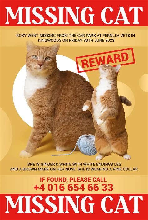 5 Free Missing Cat Flyer Templates