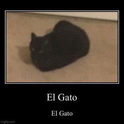 5 Funny Ways To Use El Gato Meme Template