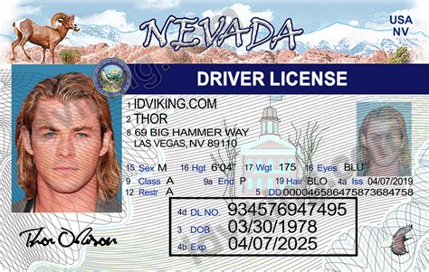 5 Ways To Create Editable Nevada Drivers License Template