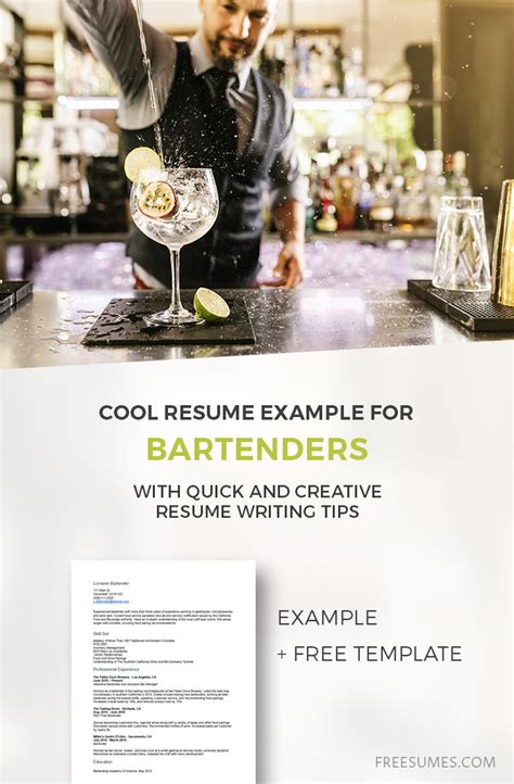 7 Bartender Cv Templates To Boost Your Career