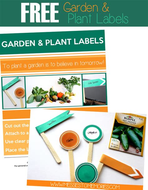 7 Customizable Free Printable Plant Labels Templates