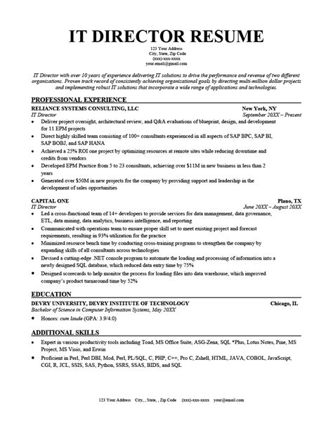 7 It Director Resume Templates In Word