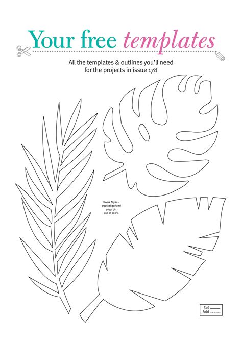 7 Tropical Leaf Templates To Print For Free