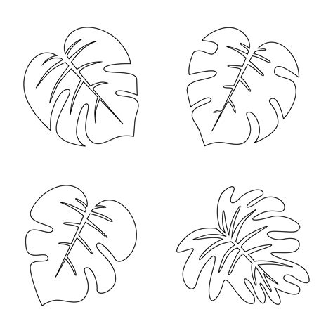 7 Uses For Palm Tree Leaves Template