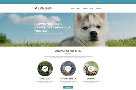 Best Website Builder For Dog Breeders Template