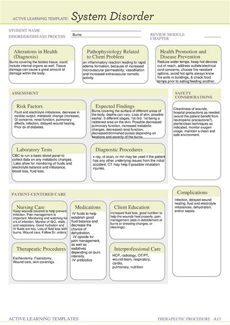 Burns System Disorder Template And Care Guide