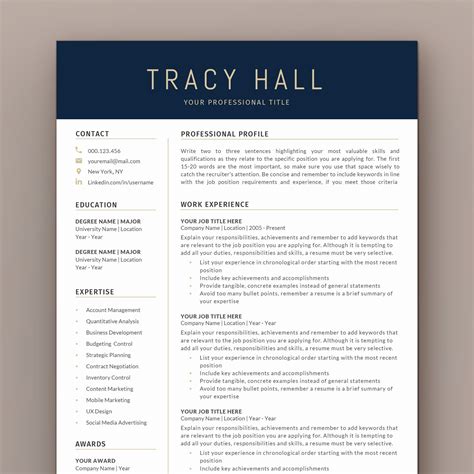 C-Level Resume Template In Word Format