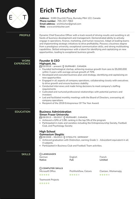 Ceo Resume Template Word Download And Writing Tips