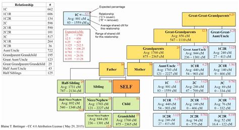 Create A 10 Generation Family Tree In Excel Easily