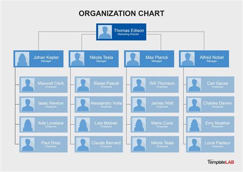 Create A Professional Org Chart With 5 Editable Templates