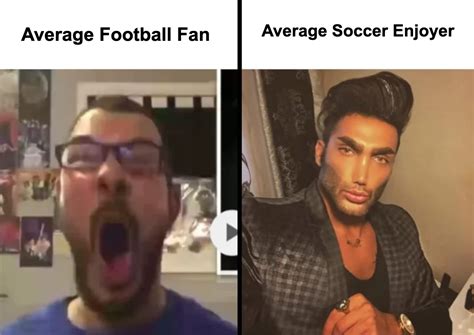 Fan Vs Enjoyer Meme Template