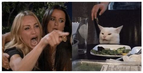 Lady Yelling At Cat Meme Template Guide