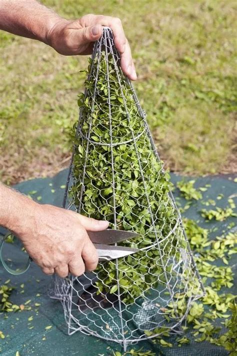 Perfect Wire Template For Trimming Bushes