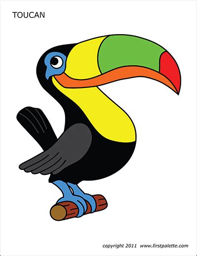 Printable Toucan Template For Kids And Adults Free