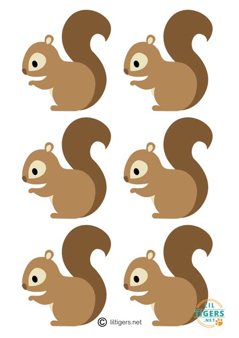 Squirrel Template Free Printable Fun For Kids