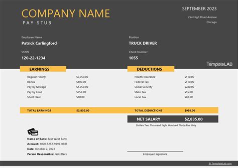 Truck Driver Pay Stub Template Example And Guide