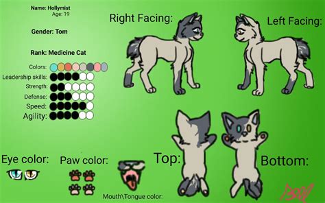 Warrior Cat Oc Template Creator Guide